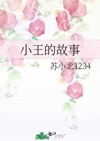 《小王的故事》