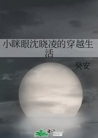 《小眯眼沈晓凌的穿越生活》