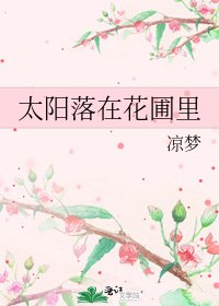 《太阳落在花圃里》