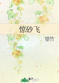 《惊砂飞》