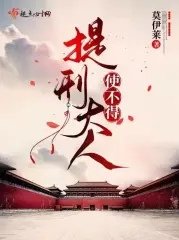 《提刑大人使不得》