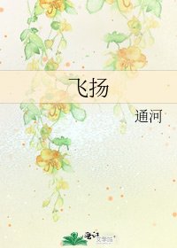 《飞扬》