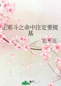 《正邪斗之命中注定要搅基》