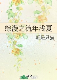 《综漫之流年浅夏》