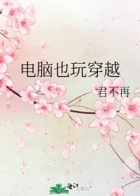 《电脑也玩穿越》