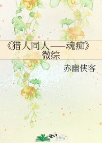 《猎人同人——魂痴》