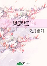 《凤惑红尘》