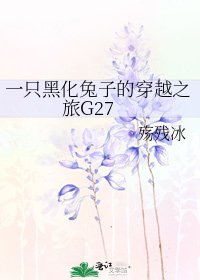 《一只黑化兔子的穿越之旅G27》