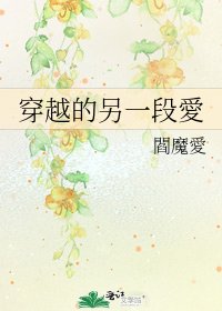 《穿越的另一段愛》