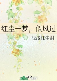 《红尘一梦,似风过》