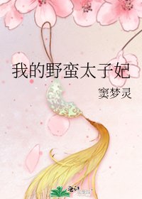 《我的野蛮太子妃》