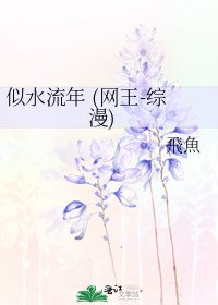 似水流年 (網王-綜漫)