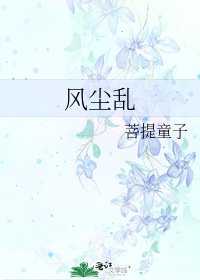 风尘乱