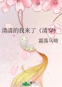 清清的我来了（清穿）