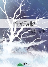 《暗光破晓》