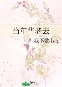 《当年华老去》