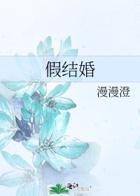 《假结婚》
