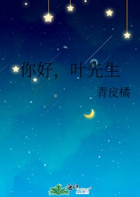 你好，叶先生