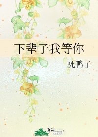 《下辈子我等你》