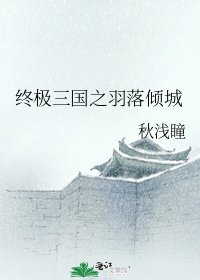 《终极三国之羽落倾城》