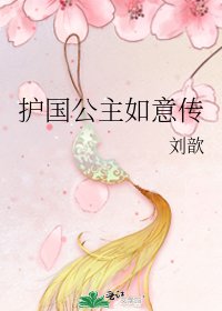 《护国公主如意传》