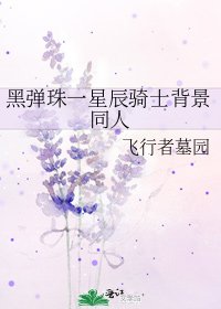 《黑弹珠一星辰骑士背景同人》