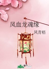 《凤血龙魂缘》