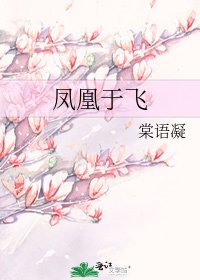 《凤凰于飞》