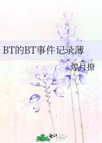 《BT的BT事件记录薄》