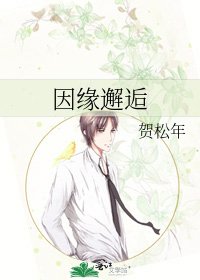 《因缘邂逅》