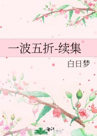 一波五折-续集