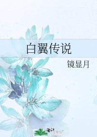 《白翼传说》
