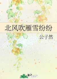 《北风吹雁雪纷纷》
