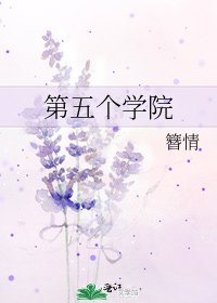 第五个学院