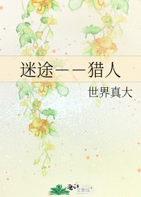 《迷途--猎人》