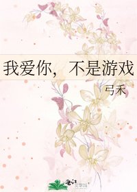 《我爱你,不是游戏》