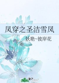 《鳳穿之聖潔雪鳳》