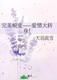 《完美蜕变——爱情大转身!》