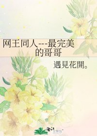 网王同人---最完美的哥哥
