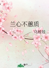 兰心不蕙质