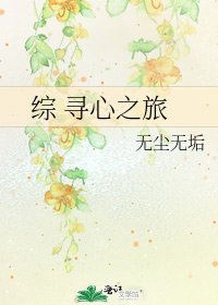 《综 寻心之旅》