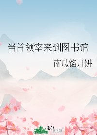 《当首领宰来到图书馆》