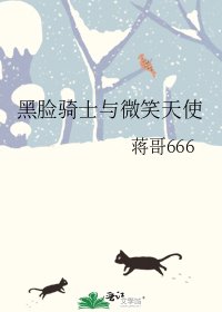《黑脸骑士与微笑天使》