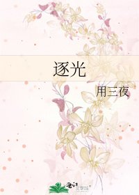 《逐光》