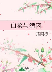 《白菜与猪肉》