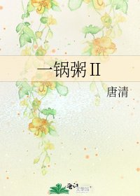 一锅粥Ⅱ