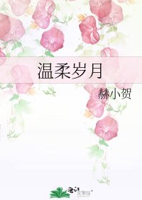 《温柔岁月》