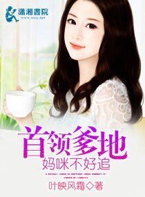 首領爹地,媽咪不好追