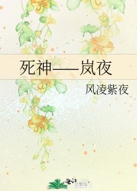 《死神——岚夜》