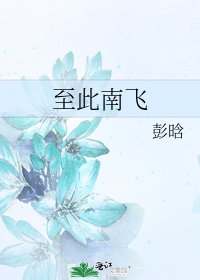 《至此南飞》